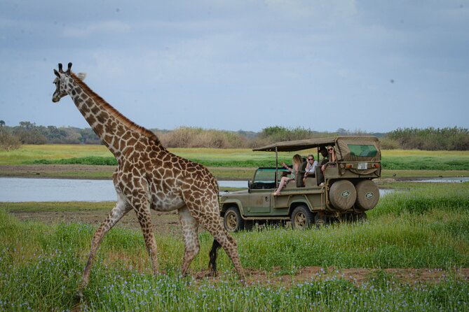 Day Safari Tour Selous Game Reserve - What makes Nyerere different from a quick wildlife outing