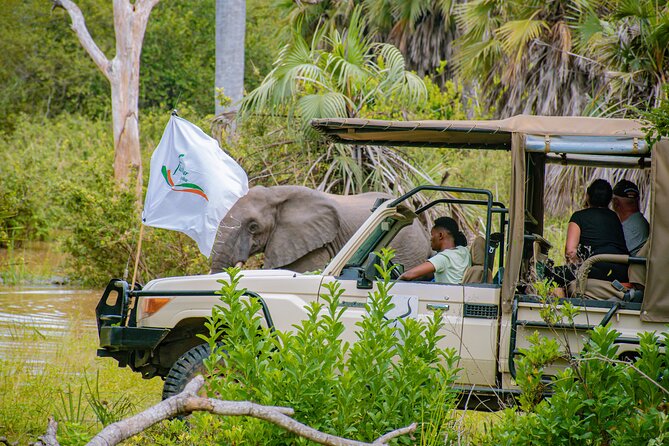 Day Safari Tour to Mikumi National Park - Is the $480 day safari worth it?