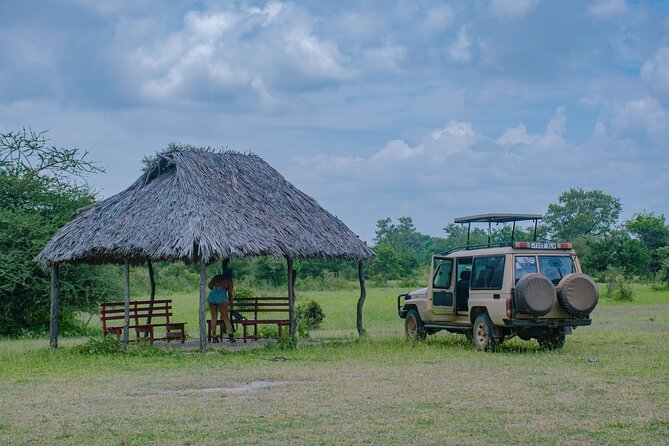 Day Safari tour to Selous Game Reserve from Zanzibar - What the safari vehicle and road are really like