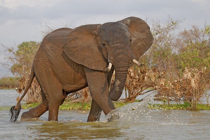 Day Safari tour to Selous Game Reserve from Zanzibar - Flying from Zanzibar to the reserve