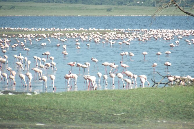 Day Tour to Tarangire National Park from Arusha - Lunch, comfort, and the long ride back