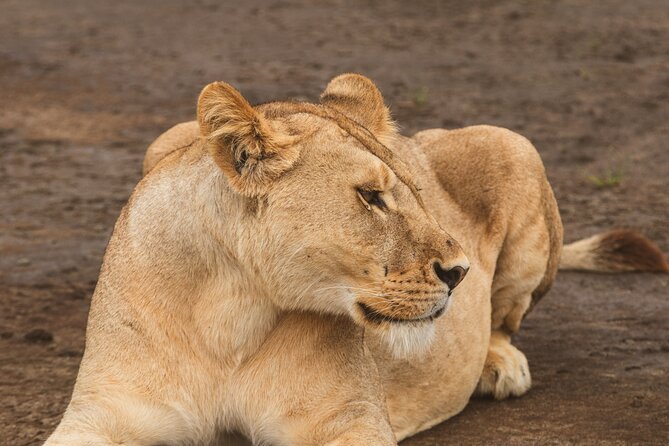 Day Tour to Tarangire National Park from Arusha - Entering Tarangire National Park