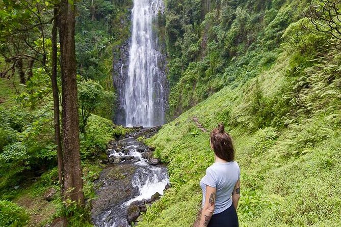 Day Trip Coffee Tour and Materuni Waterfalls - Walking the route to the 50-meter waterfall