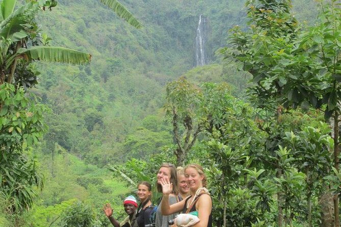 Day Trip Coffee Tour and Materuni Waterfalls - Lunch and the shape of the day