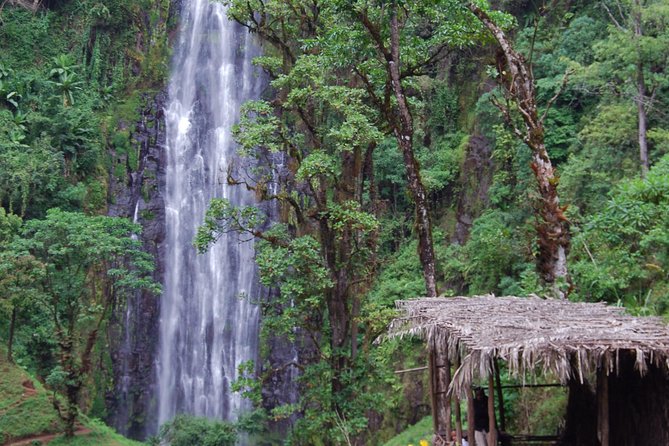 Day Trip Coffee Tour and Materuni Waterfalls - Why the waterfall walk is worth the effort