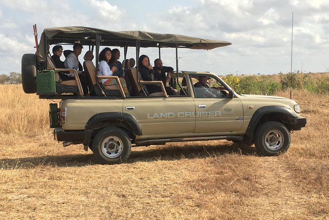 Day Trip From Zanzibar To Mikumi - A serious birding bonus in a mammal-focused safari