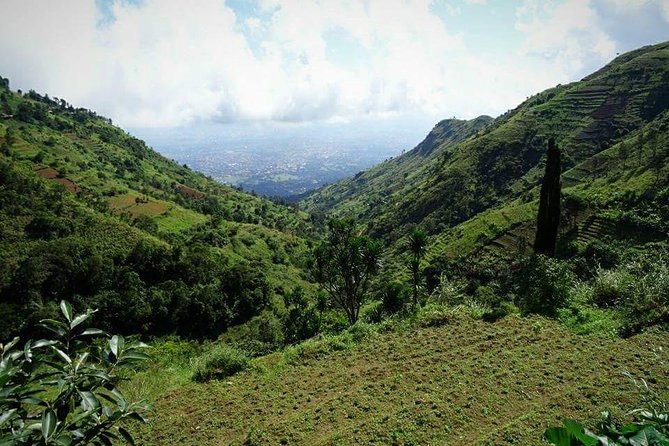 Day trip Hiking to Uluguru Mountains-Choma Waterfalls - Key points before you book