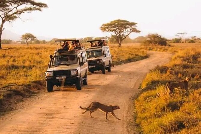 Day trip Safari to Mikumi National Park - A second drive before the return flight