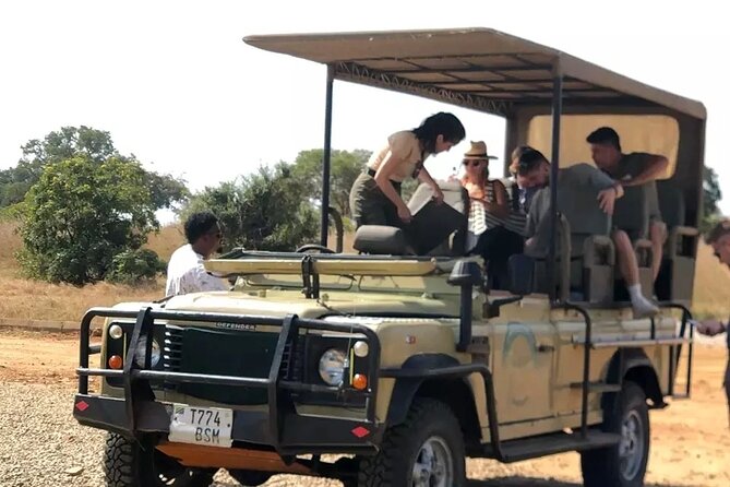 Day trip Safari to Mikumi National Park - What $560 includes, and where the value lies
