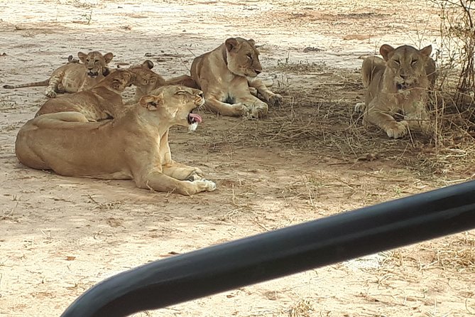 day trip tarangire - Why Tarangire works so well for a one-day safari
