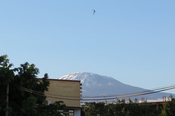 Day Trip to Kilimanjaro National Park - Key points before you book