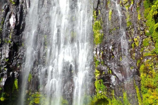 Day trip to Materuni waterfall, Coffee tour and Moshi Nightlife - Why Materuni is a smart alternative to climbing Kilimanjaro
