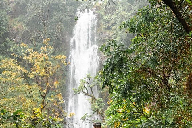 Day trip to Materuni waterfall, Coffee tour and Moshi Nightlife - Lunch, rest, and the return to Moshi
