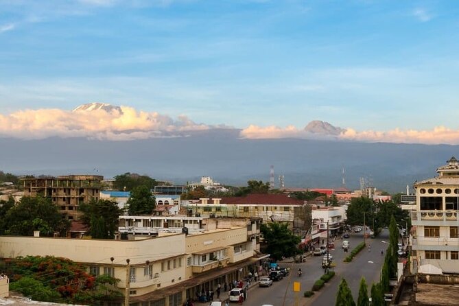 Day trip to Materuni waterfall, Coffee tour and Moshi Nightlife - The private format and the company’s guiding background