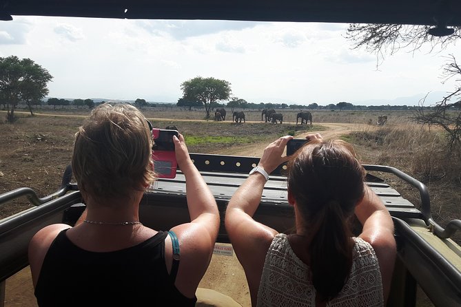 Day trip to Mikumi National Park from Dar es salaam - Key points before you book