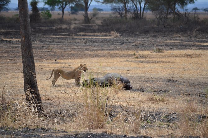 Day trip to Mikumi National Park from Dar es salaam - The 5 to 6 hour road journey to Mikumi
