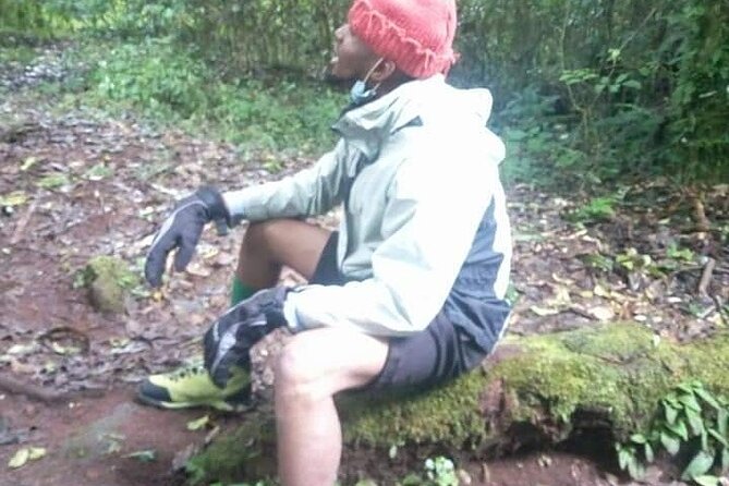 Day trip to mount Kilimanjaro - Reaching Mandara Hut for mountain views