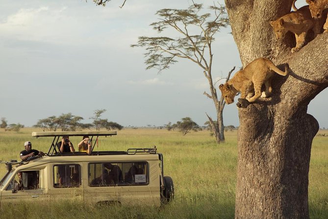 Day Trip to Ngorongoro Crater - Why Ngorongoro Crater works so well as a day trip