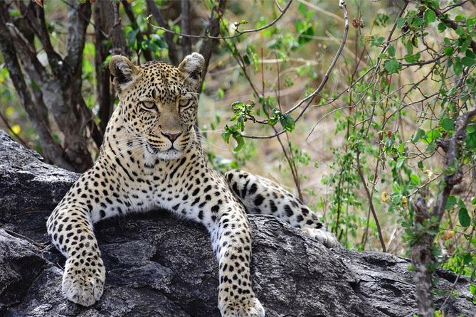 Day Trip to Ngorongoro Crater - What the $345 price really includes