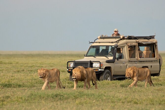 Day Trip to Selous (Nyerere) National Park Flying from Zanzibar - Who will enjoy this day most?