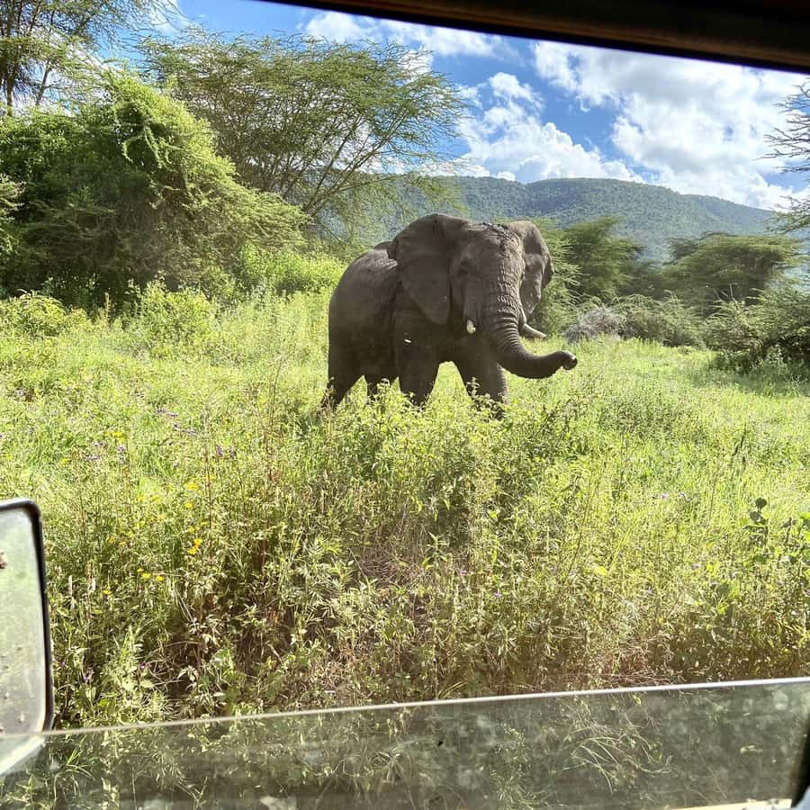 Day trip to tarangire national park - The early drive from Arusha to the park gate