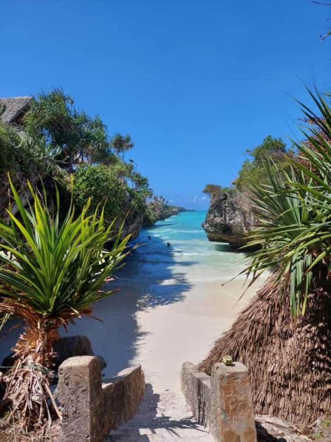 Day trip to the Rock Restaurant & relax on mtende beach - Should You Book It?