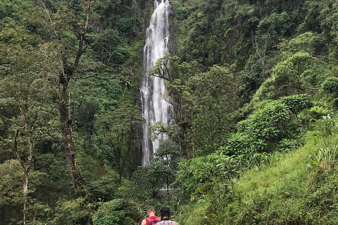DayTour to Materuni Waterfalls with Coffee & Hotsprings Excursion - Key points at a glance
