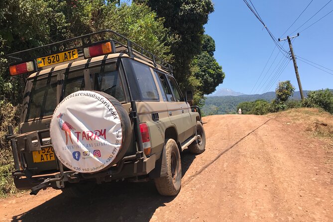 DayTour to Materuni Waterfalls with Coffee & Hotsprings Excursion - Moving from cool falls to warm Kikuletwa water