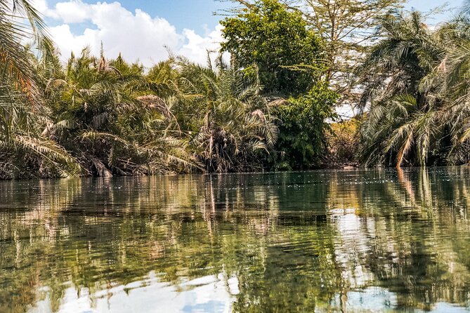 DayTour to Materuni Waterfalls with Coffee & Hotsprings Excursion - Coffee with a Chaga connection