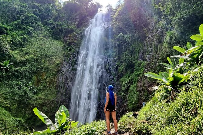 Discover Nature and Culture of Materuni Waterfall & Coffee Tour - Key things to know before booking