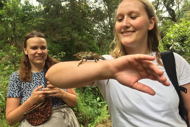 Discover Nature and Culture of Materuni Waterfall & Coffee Tour - Why this Moshi day trip works so well