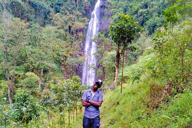 Discover Nature and Culture of Materuni Waterfall & Coffee Tour - The waterfall pool and the 70 to 80-meter drop