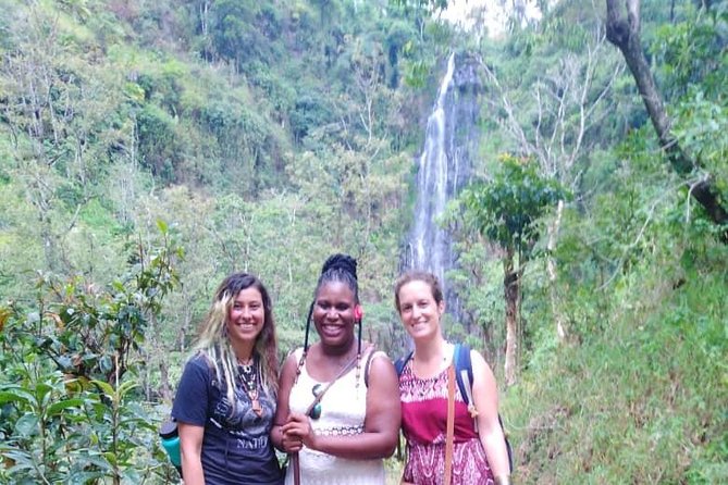 Discover Nature and Culture of Materuni Waterfall & Coffee Tour - What the private format changes