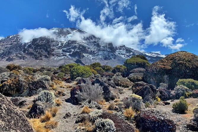 Discover Our Latest 6 Days Climbing Kilimanjaro - Marangu Route - Day 3: Horombo acclimatization walk toward Mawenzi