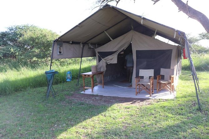 Discover Tanzania through the 3 wild classics - Meals, lodges, and the real value of the price