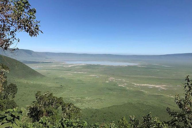 Discover Tanzania through the 3 wild classics - Lake Manyara, a smaller park with a different feel