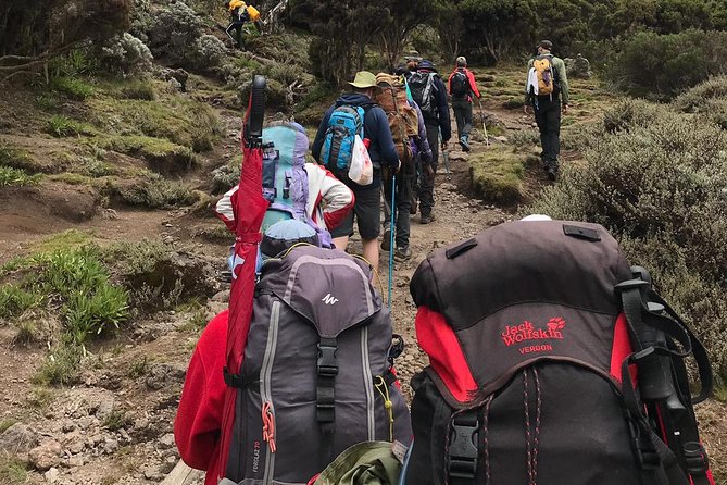 Discover The Best 7-day Kilimanjaro climbing via Machame route - Day 6: Barafu to Uhuru Peak and Mweka Camp