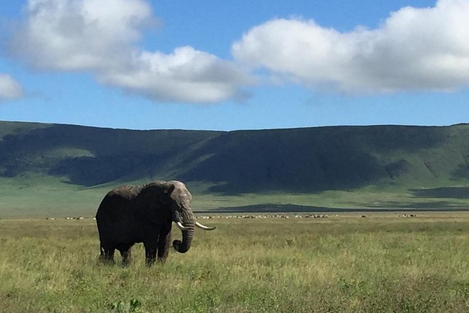 Discover The World's Top Best 4-day Tanzania Group Camping safari - Day 1: Arusha to Central Serengeti