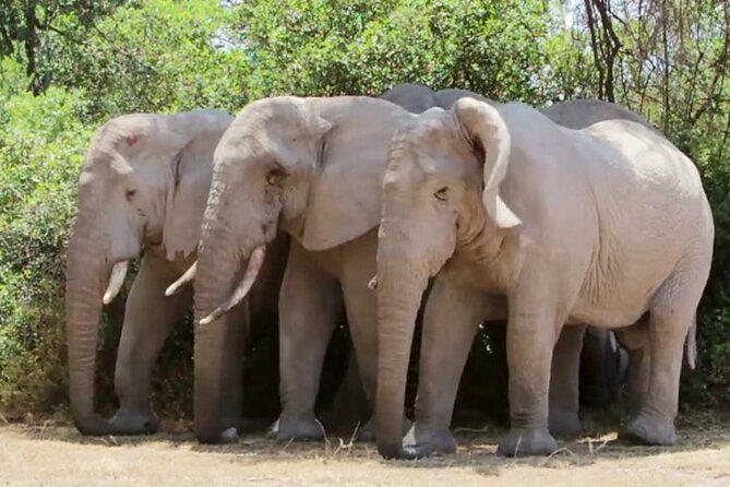 Discover The World's Top Best 4-day Tanzania Group Camping safari - Small group promise, maximum group size, and the vehicle