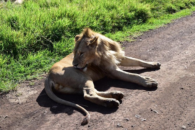 Discover The World's Top Best 4-day Tanzania Group Camping safari - What the company’s service record suggests