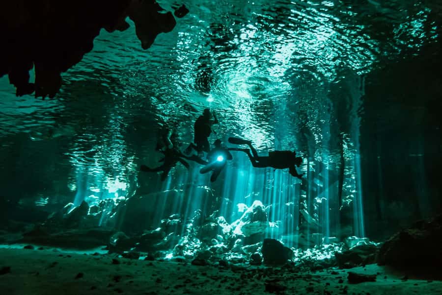 Discover Tumbatu Island: Private Snorkeling Adventure - How the private format affects value at $49