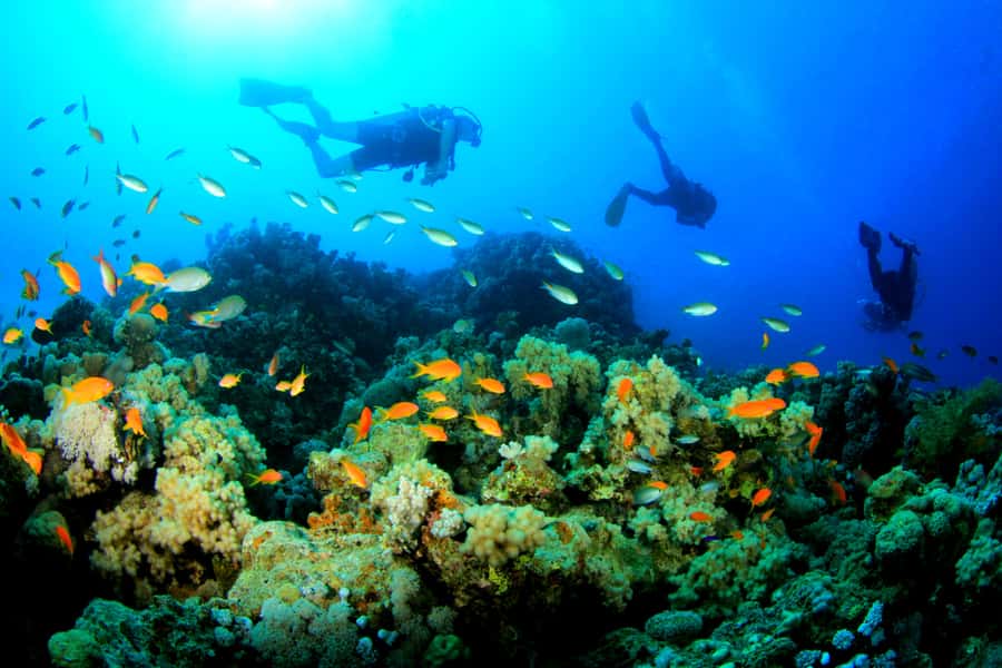 Discover Tumbatu Island: Private Snorkeling Adventure - Who will enjoy this three-hour outing