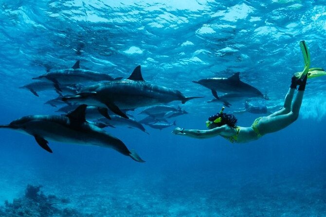 Dolphin and Tumbatu Island Snorkeling Tour with Pickup - Cruising toward Tumbatu Island