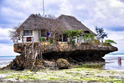 Dolphin tour, Jozani Forest, Jambiani Kuza Cave, Paje Beach &The Rock restaurent