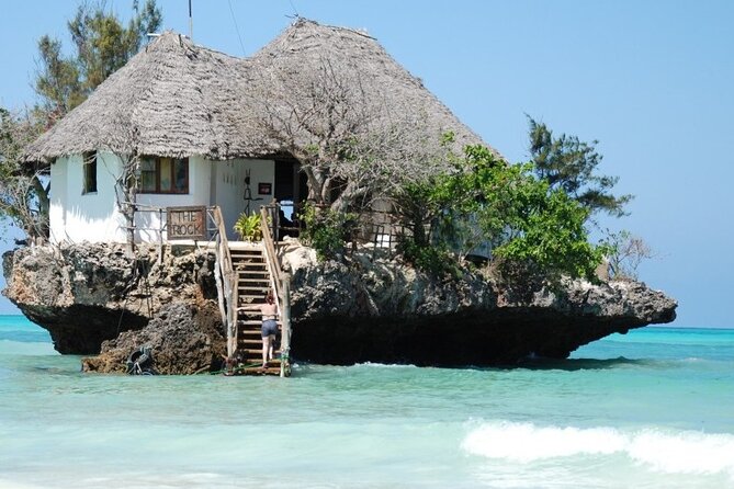 Dolphin tour, Jozani Forest, Jambiani Kuza Cave, Paje Beach &The Rock restaurent - Lunch at The Rock is a separate decision