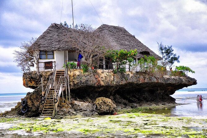 Dolphin tour, Jozani Forest, Jambiani Kuza Cave, Paje Beach &The Rock restaurent - The dolphin cruise near Matemwe