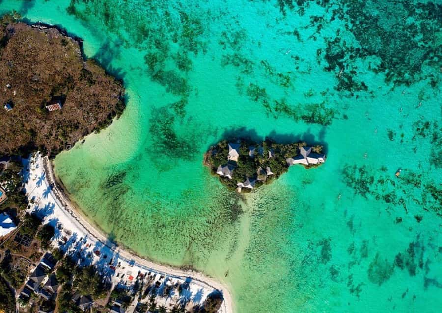Dolphin Tour, Jozani Forest, Prison Island, Island Pongwe - Price, meals, and what you really receive