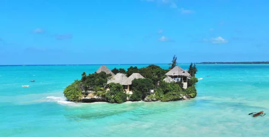 Dolphin Tour, Jozani Forest, Prison Island, Island Pongwe - Who should book this Zanzibar excursion