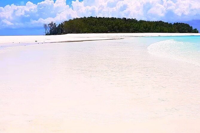 Dolphin Tour, Jozani Forest Tour, Kuza Cave Tour, Paje Beach,The Rock Restaurant - Paje Beach for sand and shallow water