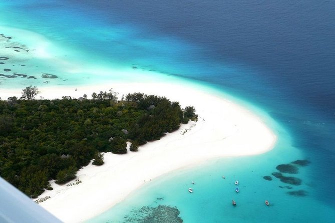 Dolphin Tour, Jozani Forest Tour, Kuza Cave Tour, Paje Beach,The Rock Restaurant - Jozani Forest and the red colobus monkeys